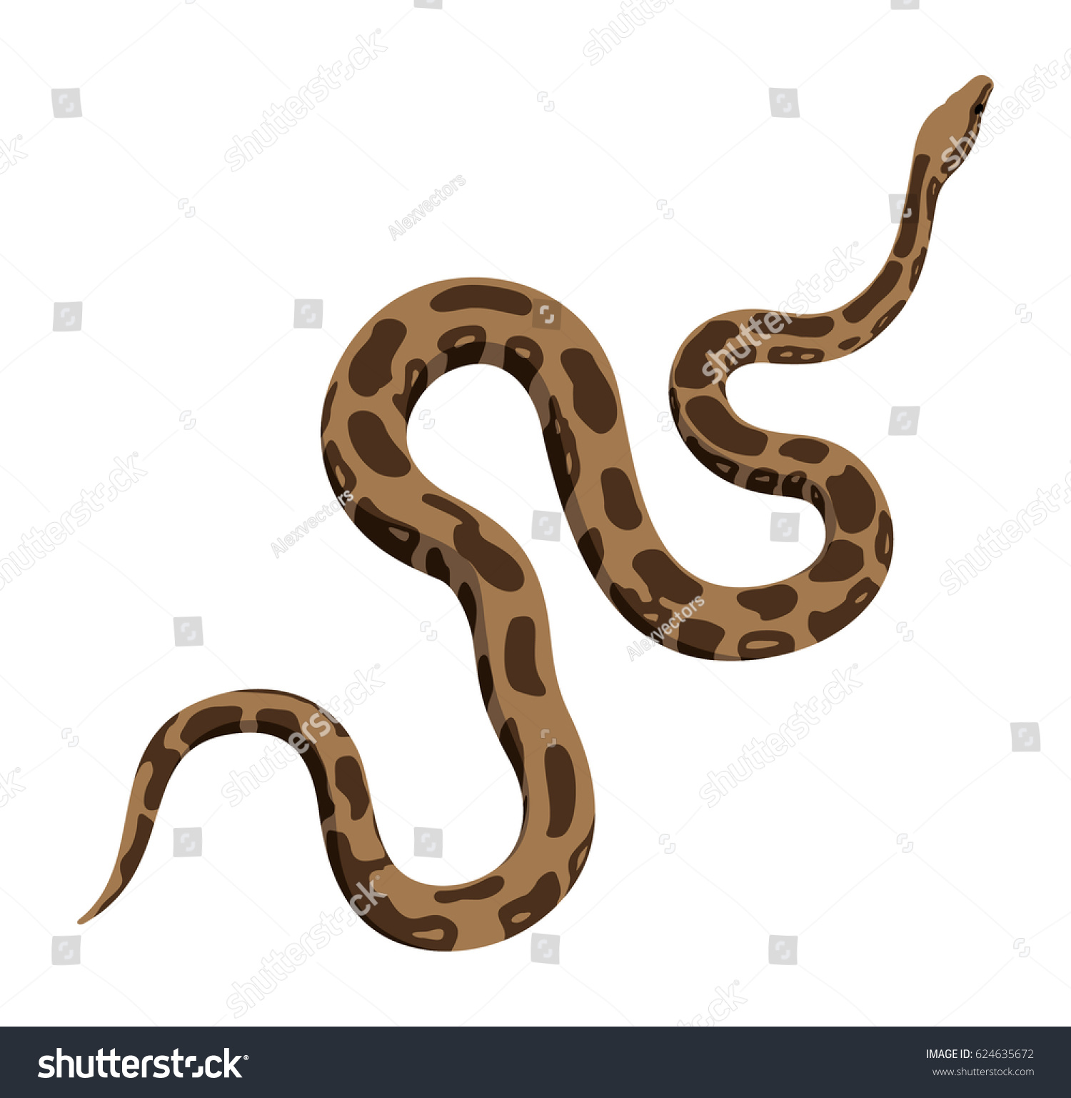 Brown Python Snake Vector Stock Vector Royalty Free