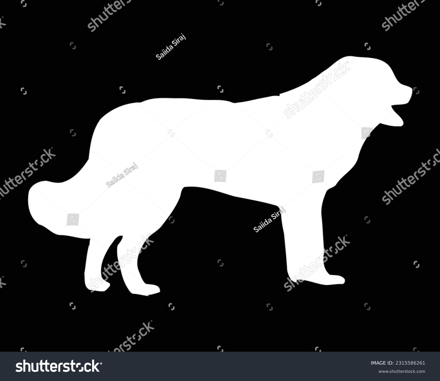 SVG of Bucovina shepherd Dog Vector Silhouette svg