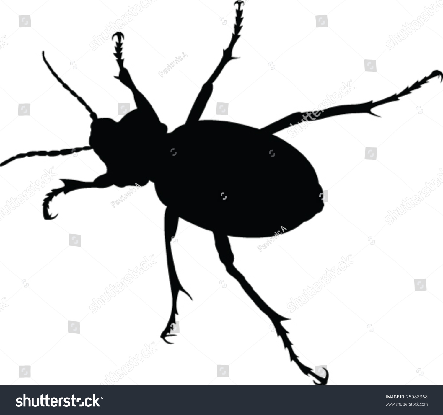 Bug Silhouette - Vector - 25988368 : Shutterstock