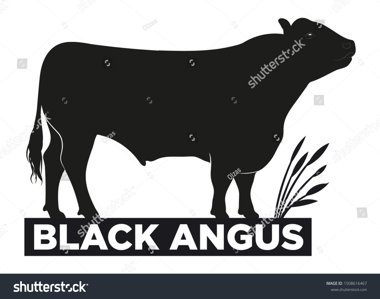SVG of Bull. Logo. Black silhouette bull on white. Breed Black Angus. Hand drawn vector illustration. svg