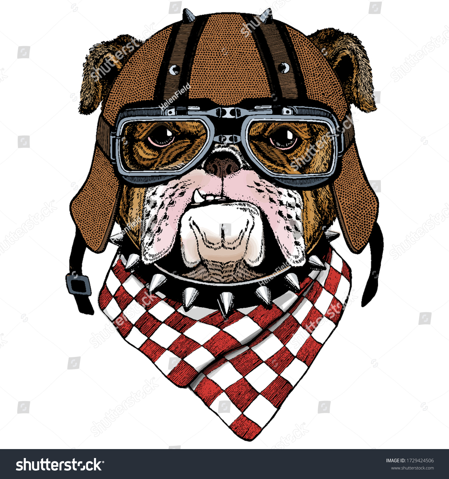 bulldog motorcycle helmet