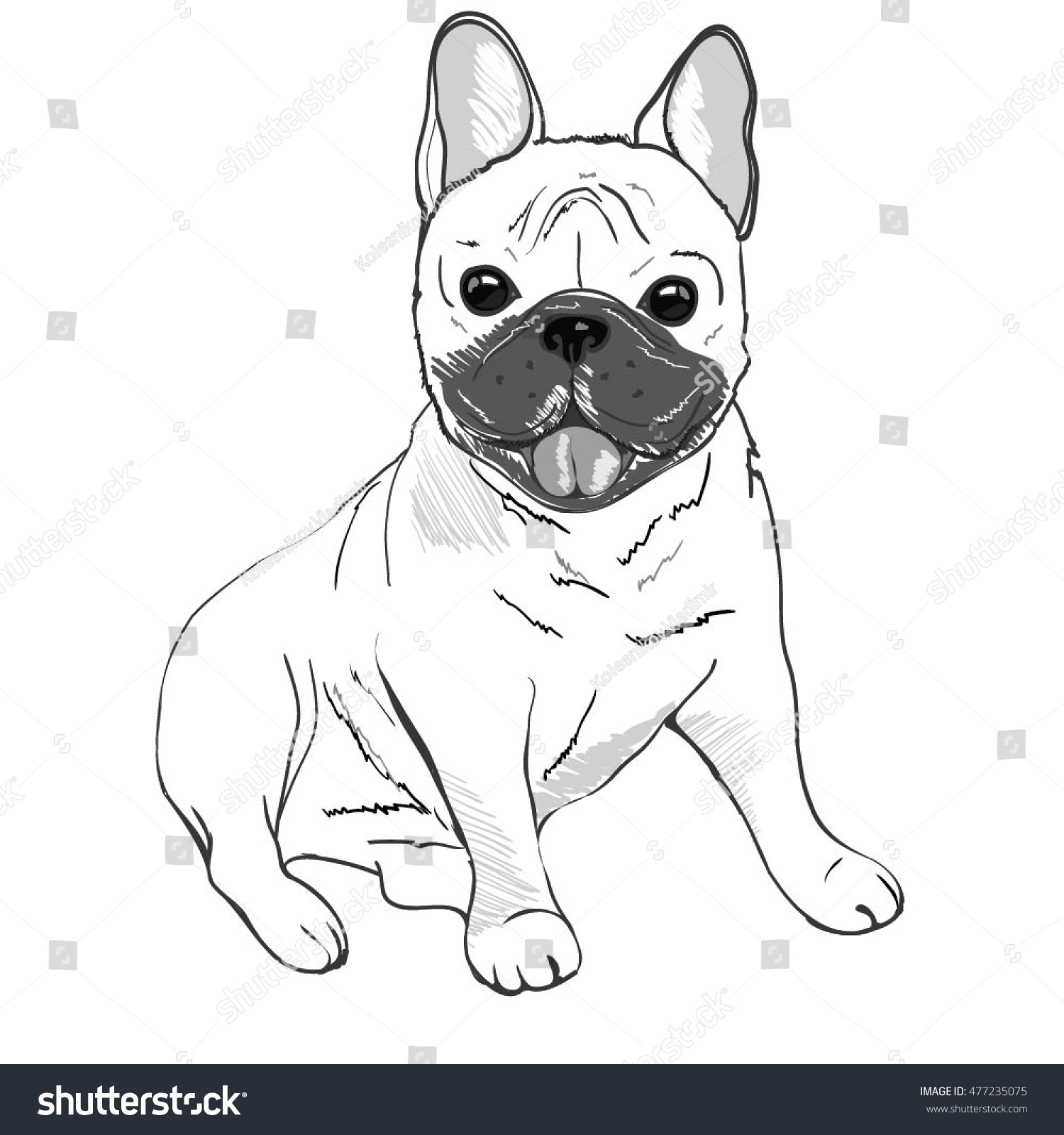 Bulldog Dog Vector Illustration Stock Vector (Royalty Free) 477235075