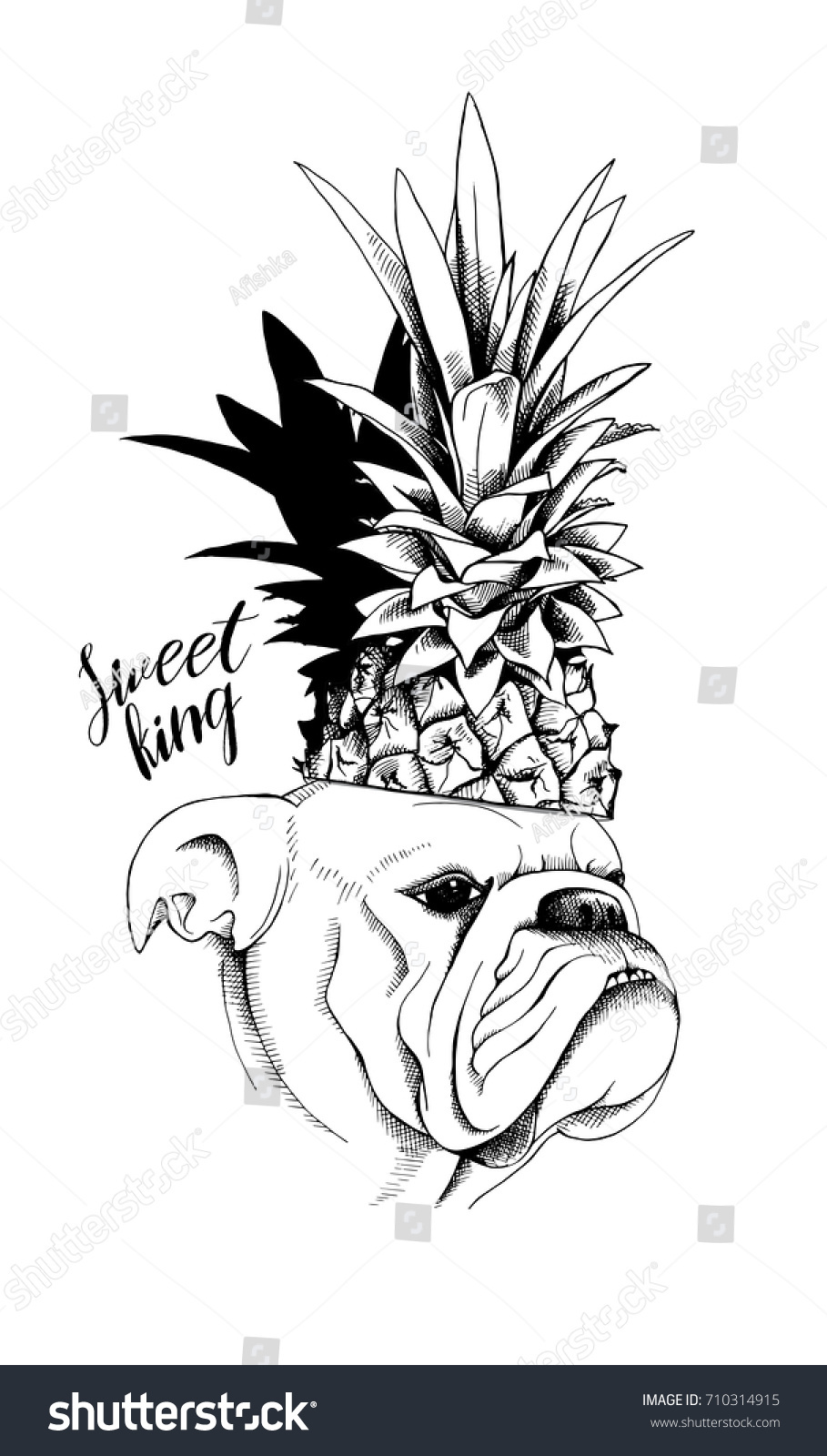 Bulldog Pineapple Crown Vector Black White Stock Vector 710314915 ... for Clipart Pineapple Black And White
61obs Bulldog Pineapple Crown Vector Black White Stock Vector 710314915 ... for Clipart Pineapple Black And White
61obs