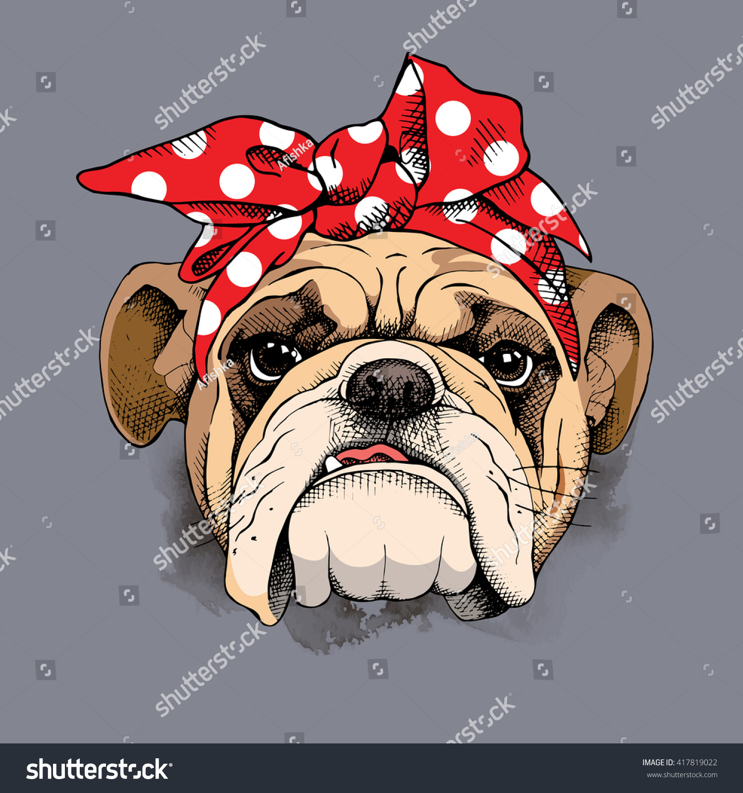 bulldog headband