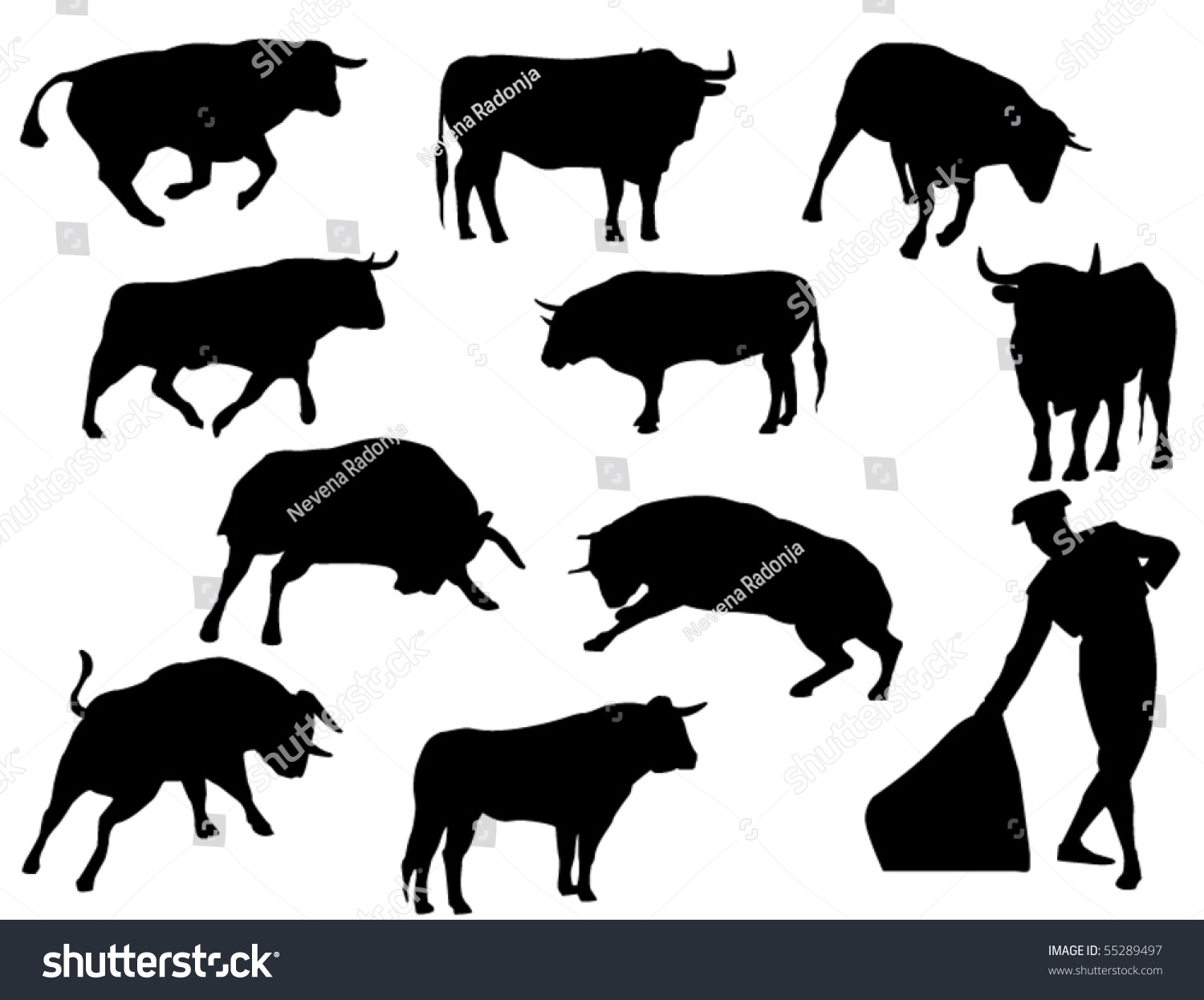 Bulls Stock Vector 55289497 : Shutterstock