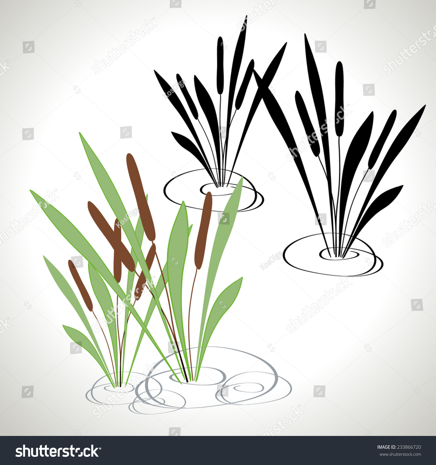 Bulrush Silhouette - Color, Black And White Stock Vector Illustration ...