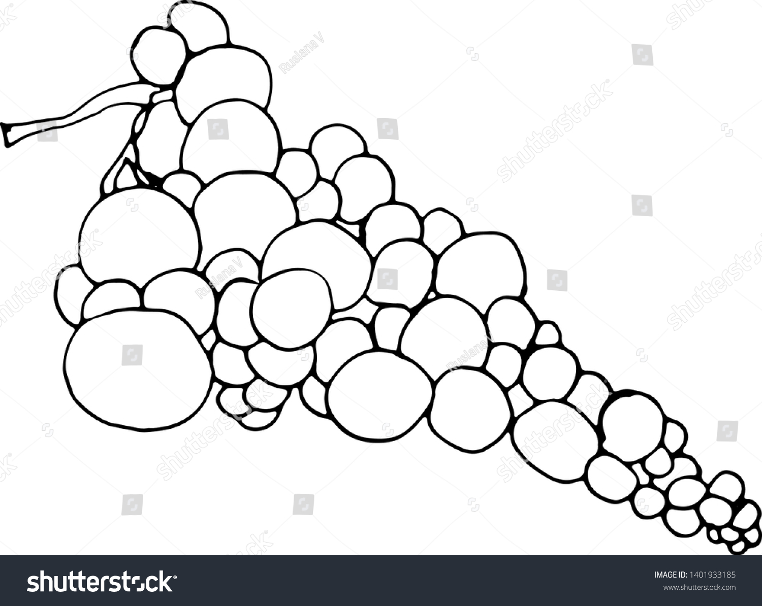 Bunch Grapes Hand Drawn Sketch Doodle Stock Vector (Royalty Free ...