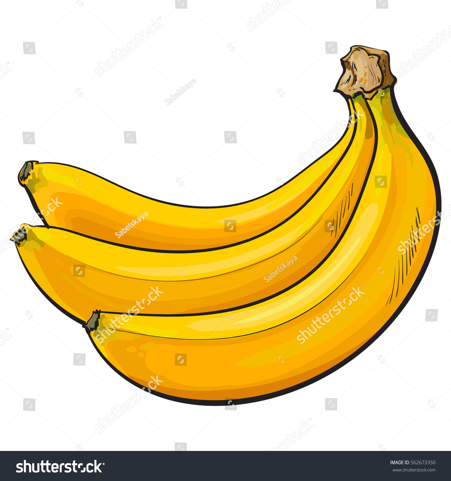 Bunch Three Unpeeled Ripe Bananas Sketch Stock Vector (Royalty Free