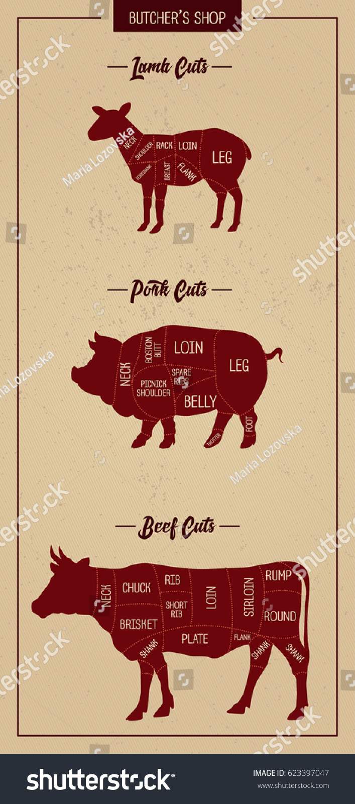 Butchers Meat Chart Retail Cuts How Stock Vector Royalty Free