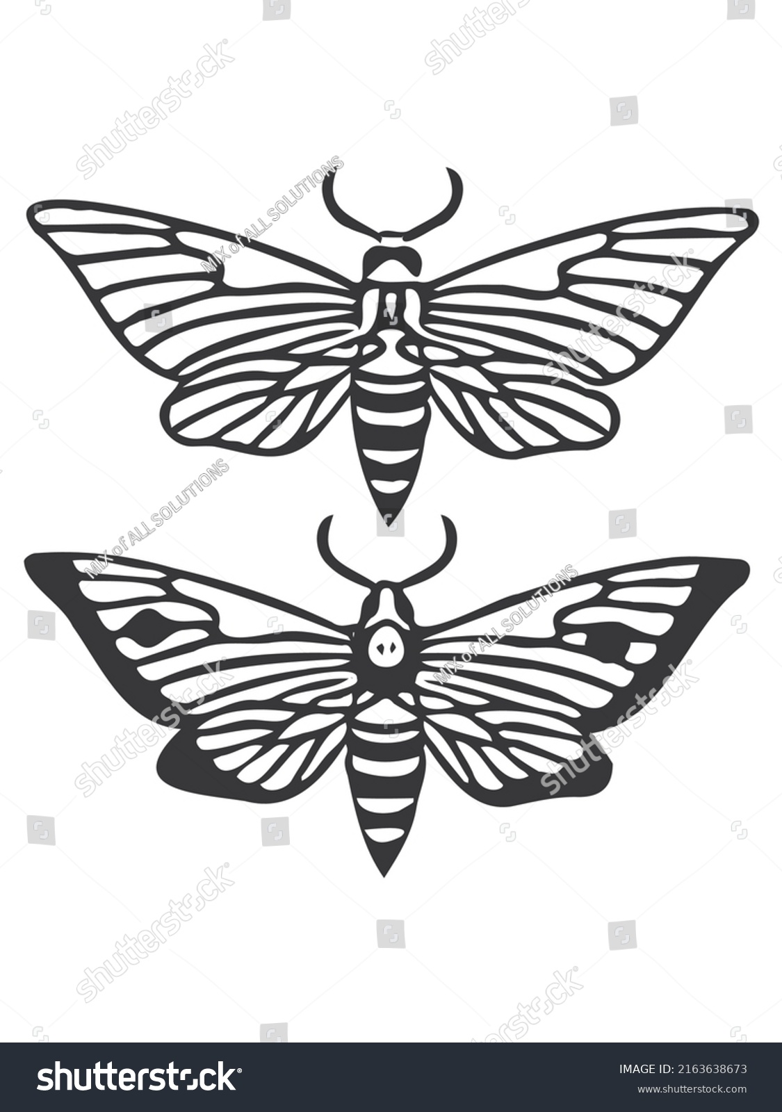 Butterflies Moths Set Vector Hand Drawn Stock Vector (Royalty Free) 2163638673 Shutterstock