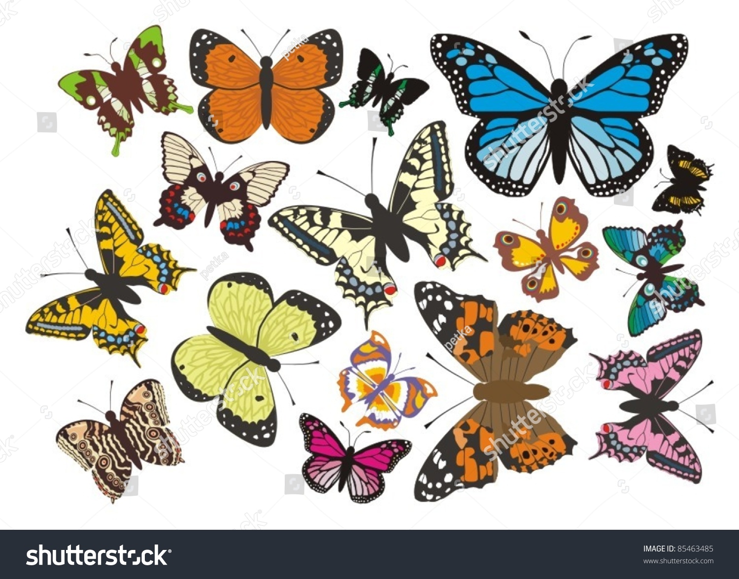 Butterflies Complet Vector Stock Vector (Royalty Free) 85463485