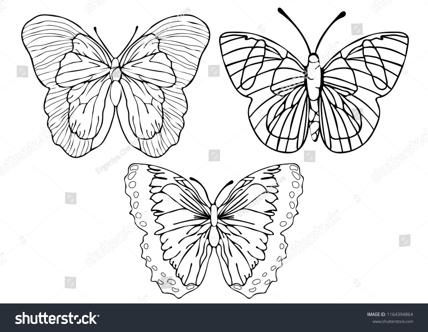 butterflies outline set coloring linear drawing stock vector royalty free 1164394864 shutterstock