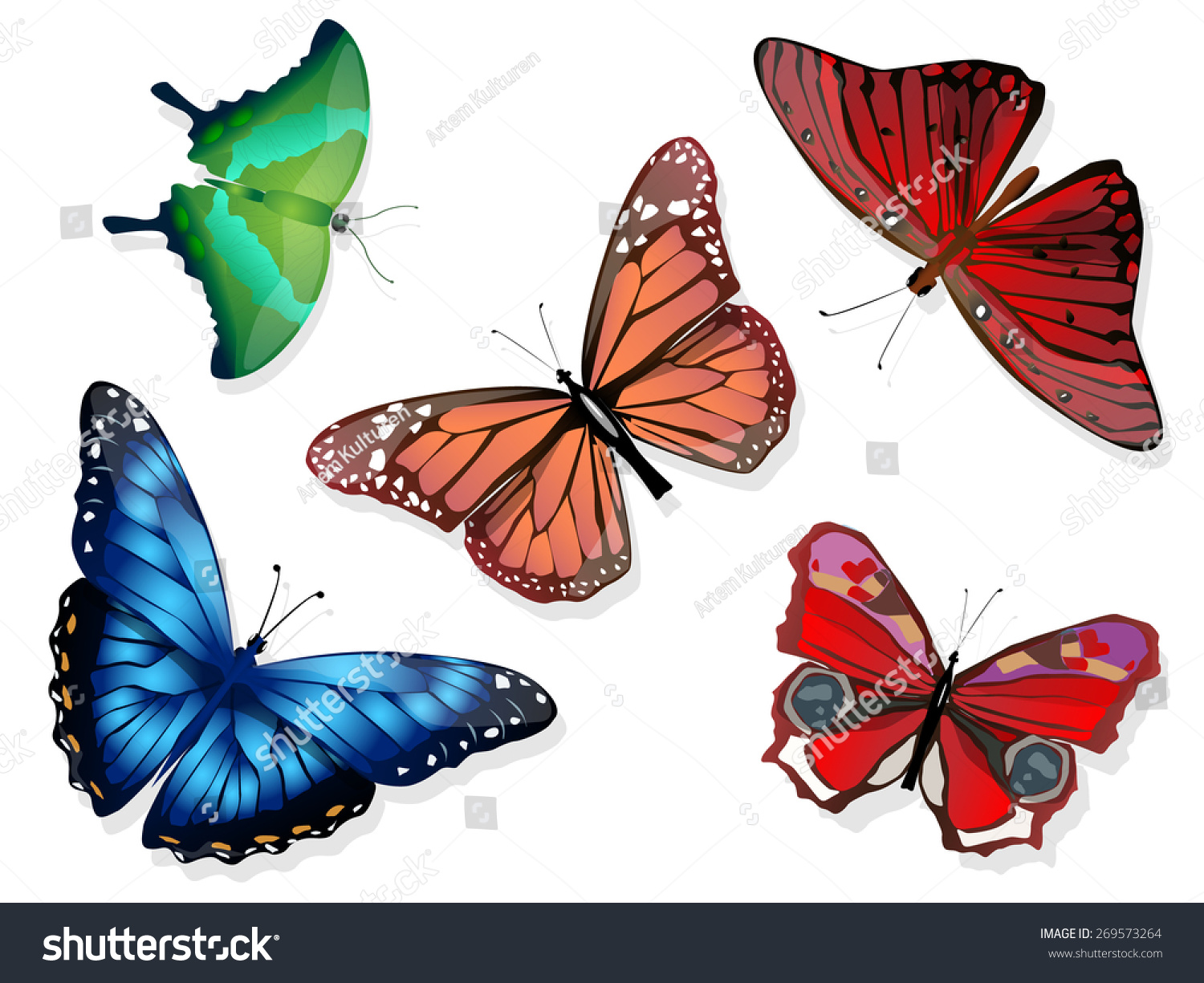 Butterfly Stock Vector 269573264 : Shutterstock