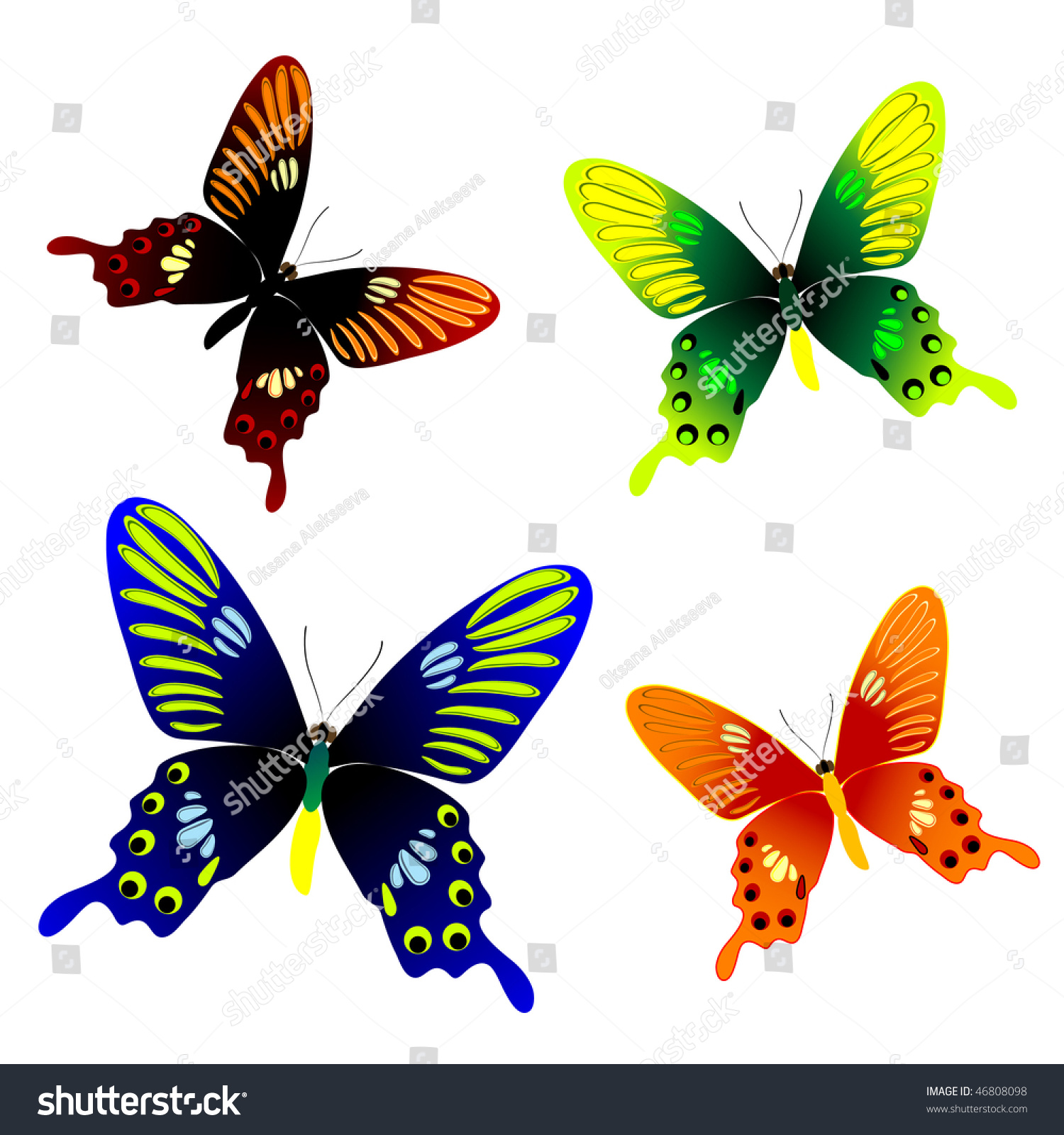 Butterfly Stock Vector (Royalty Free) 46808098 | Shutterstock