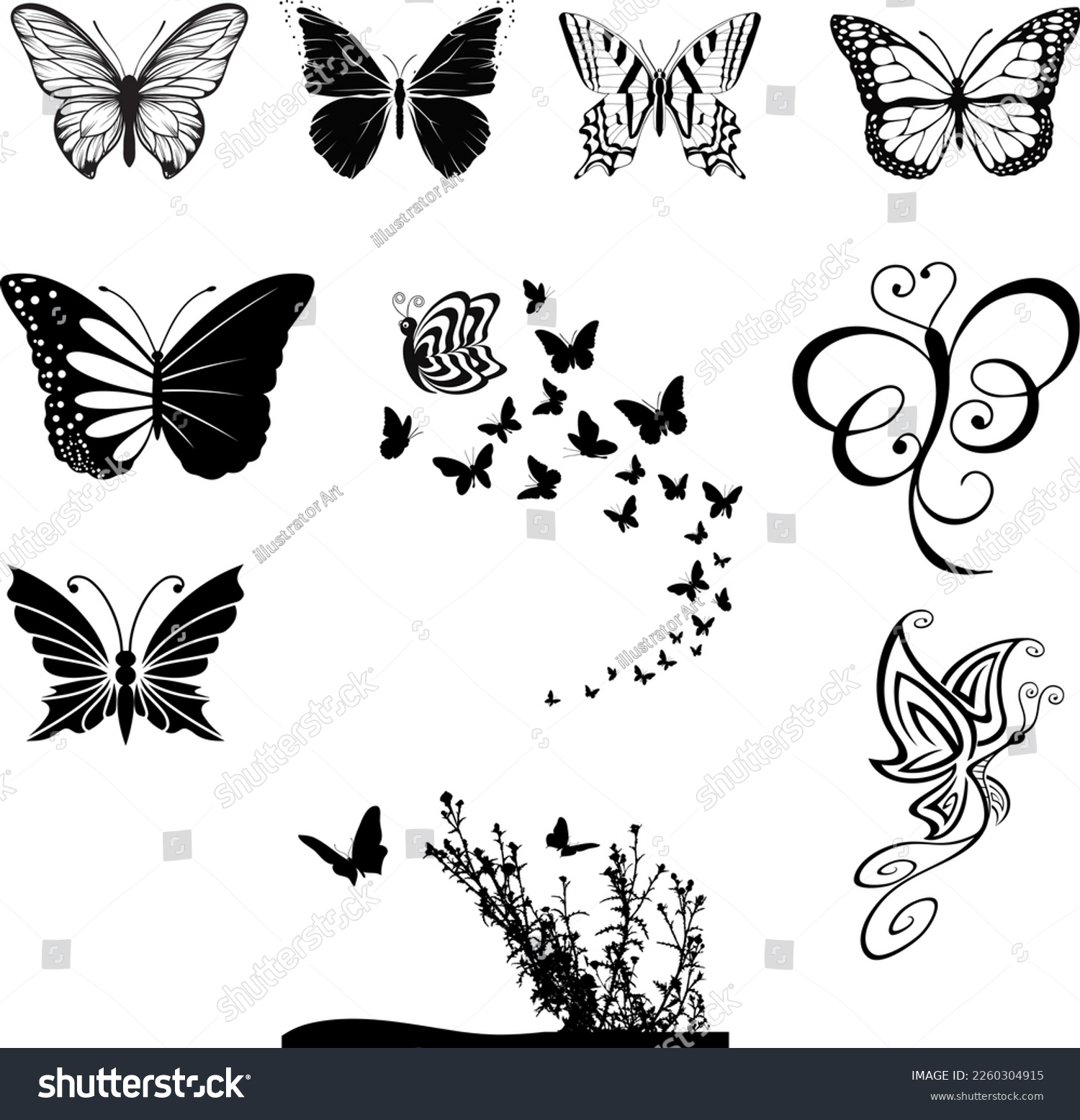 SVG of Butterfly, Butterfly svg bundle, Butterfly Vector svg