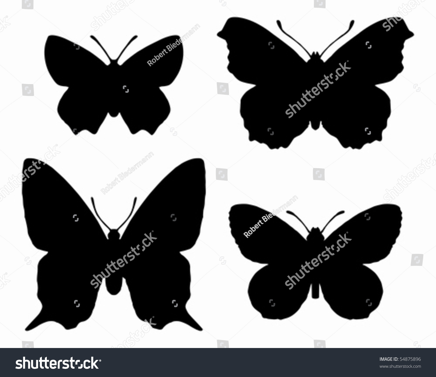 Butterfly Silhouettes Stock Vector Illustration 54875896 : Shutterstock