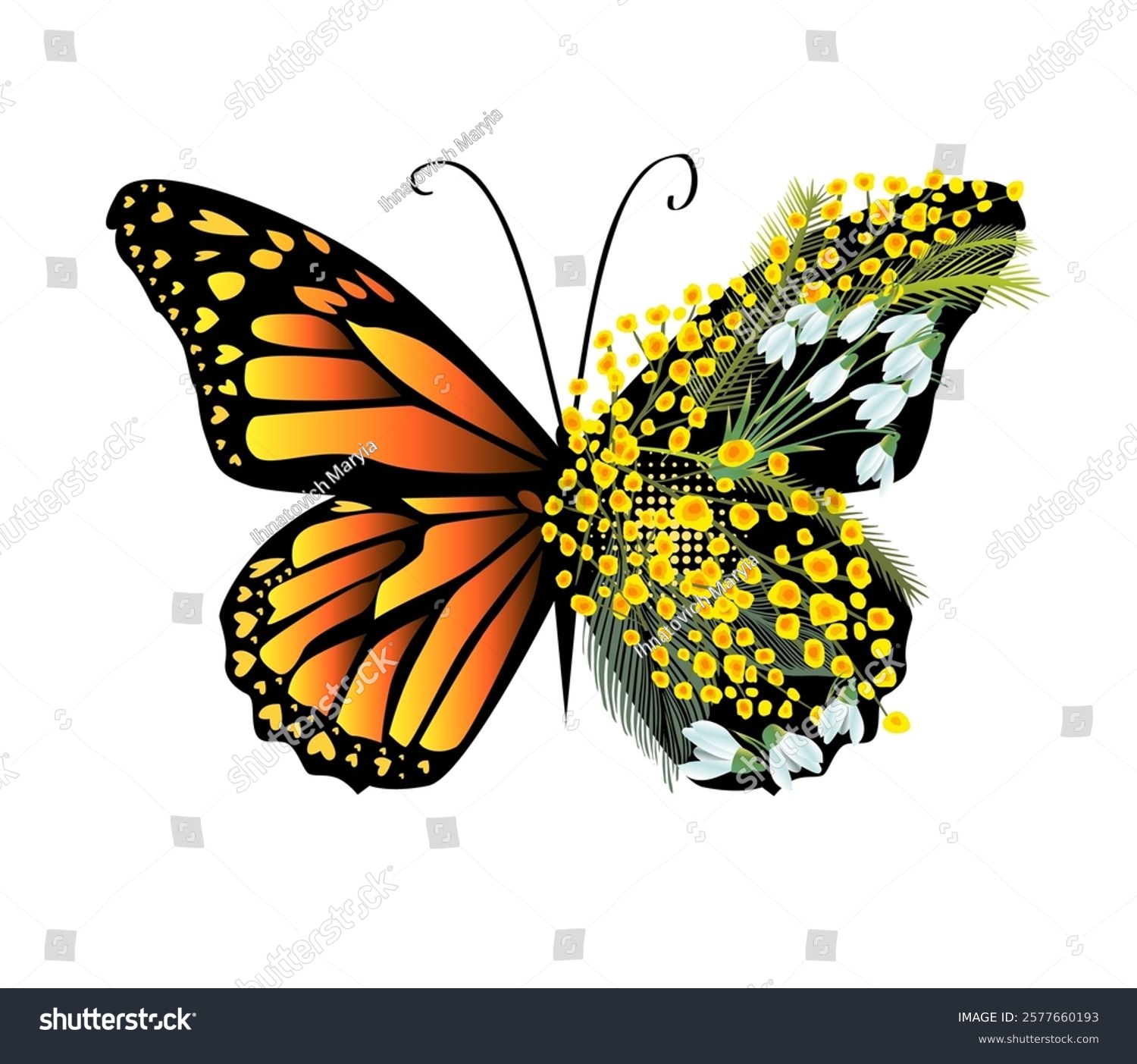recommend clip art: Butterfly with mimosa and snowdrop flowers. hand drawing. Not AI. Vector illustration