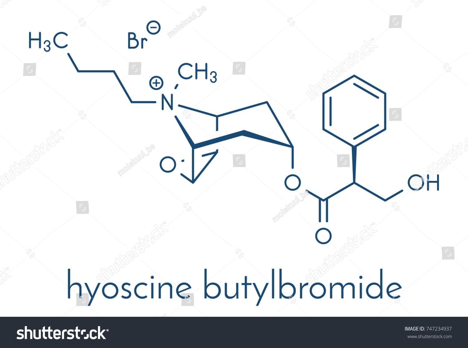Butylbromide hyoscine Hyoscine butylbromide