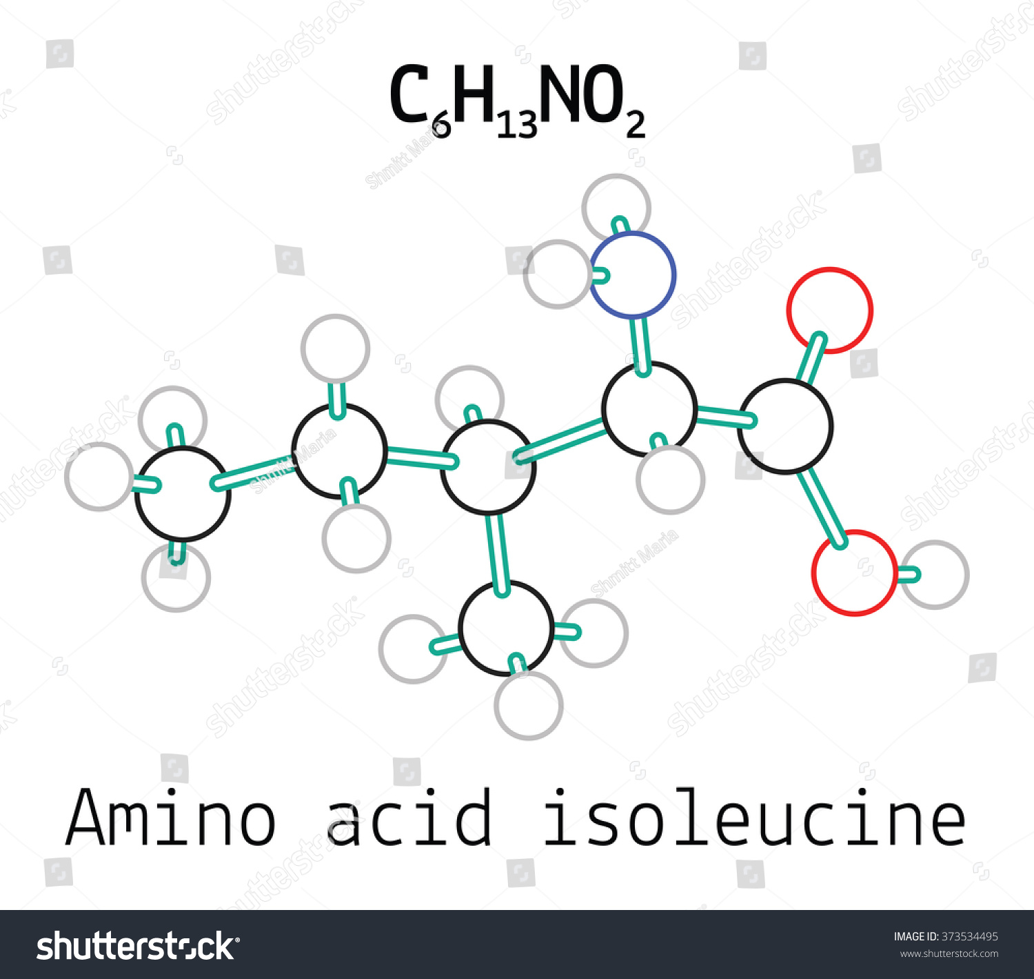 C6h13no2 Amino Acid Isoleucine Molecule Stock Vector Illustration ...