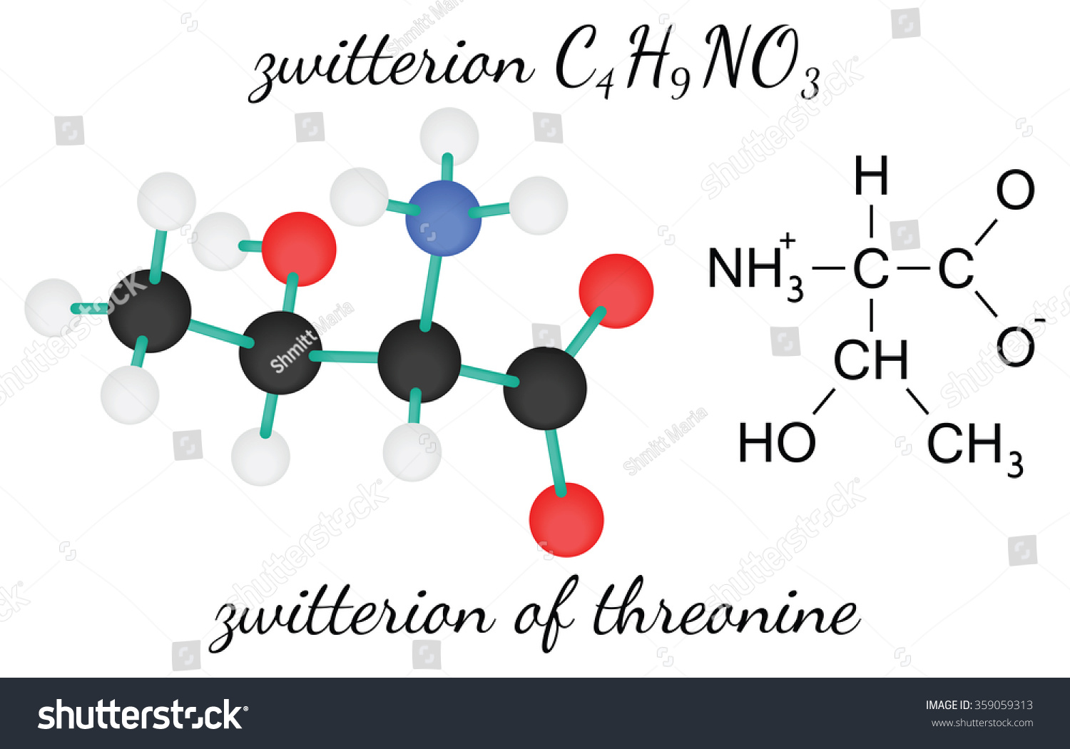 C4h9no3 Zwitterion Threonine Amino Acid Molecule Stock Vector (Royalty ...