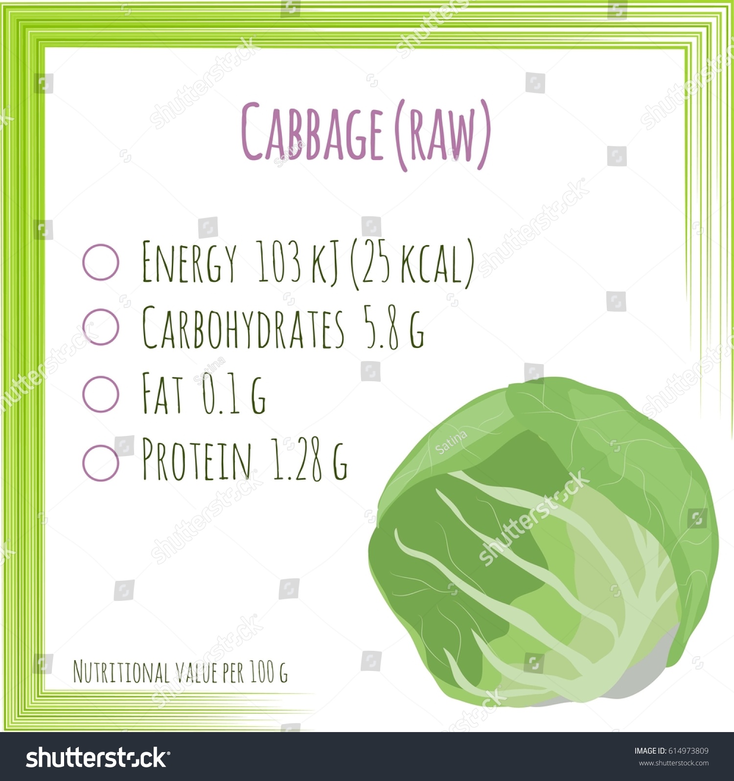 Cabbage Nutrition Facts Flat Design No Stock Vector (Royalty Free