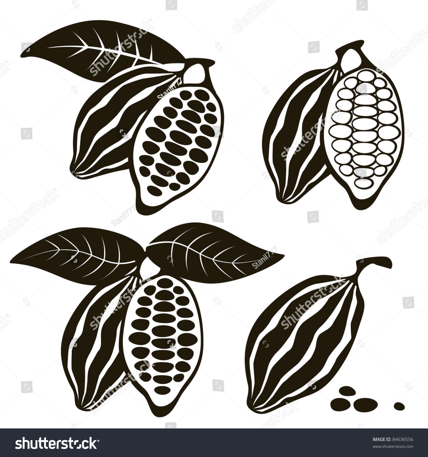 Cacao Bean 库存矢量图(免版税)84636556