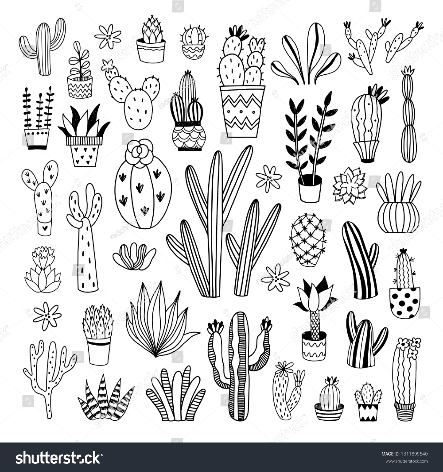 Cacti Succulents Hand Drawn Vector Illustrations Stock Vector (Royalty ...