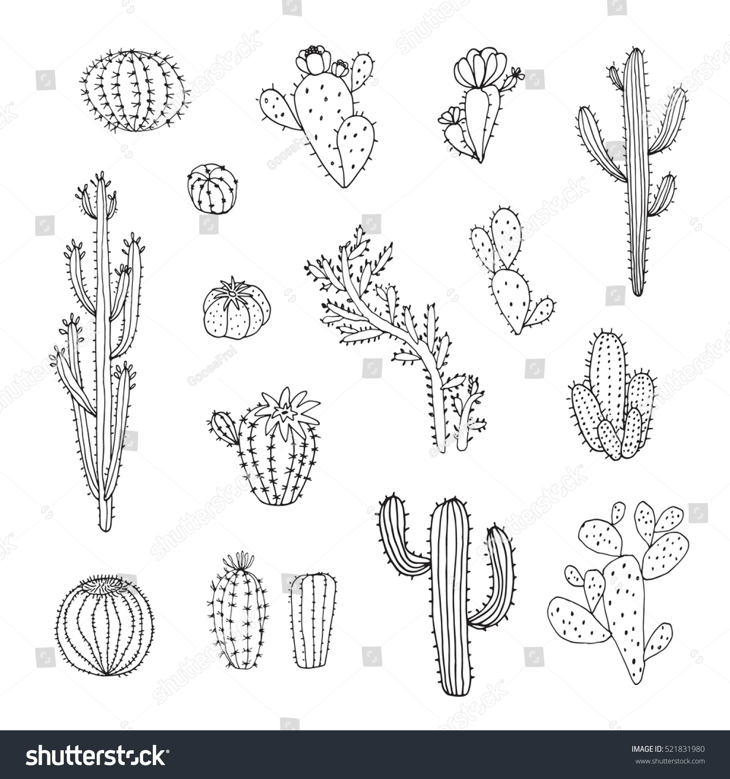 Cactus Vector Graphic Set Stock Vector (Royalty Free) 521831980 ...