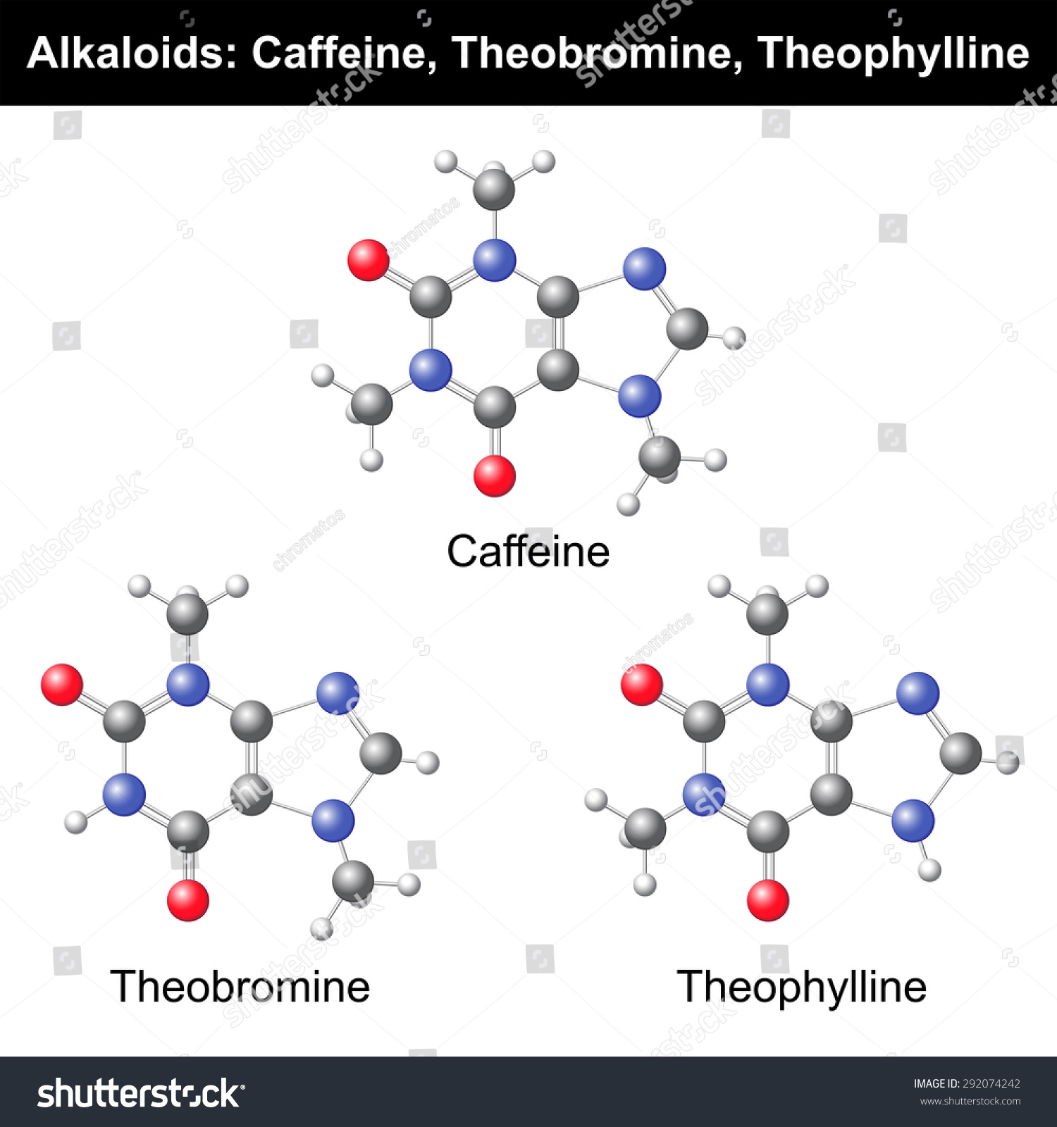 SVG of Caffeine, Theobromine and Theophylline 3d models on white background, vector, eps 8 svg
