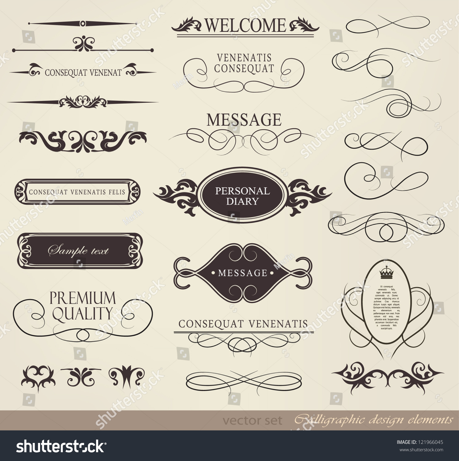Calligraphic Design Elements Page Decoration Vector Stock Vector ...