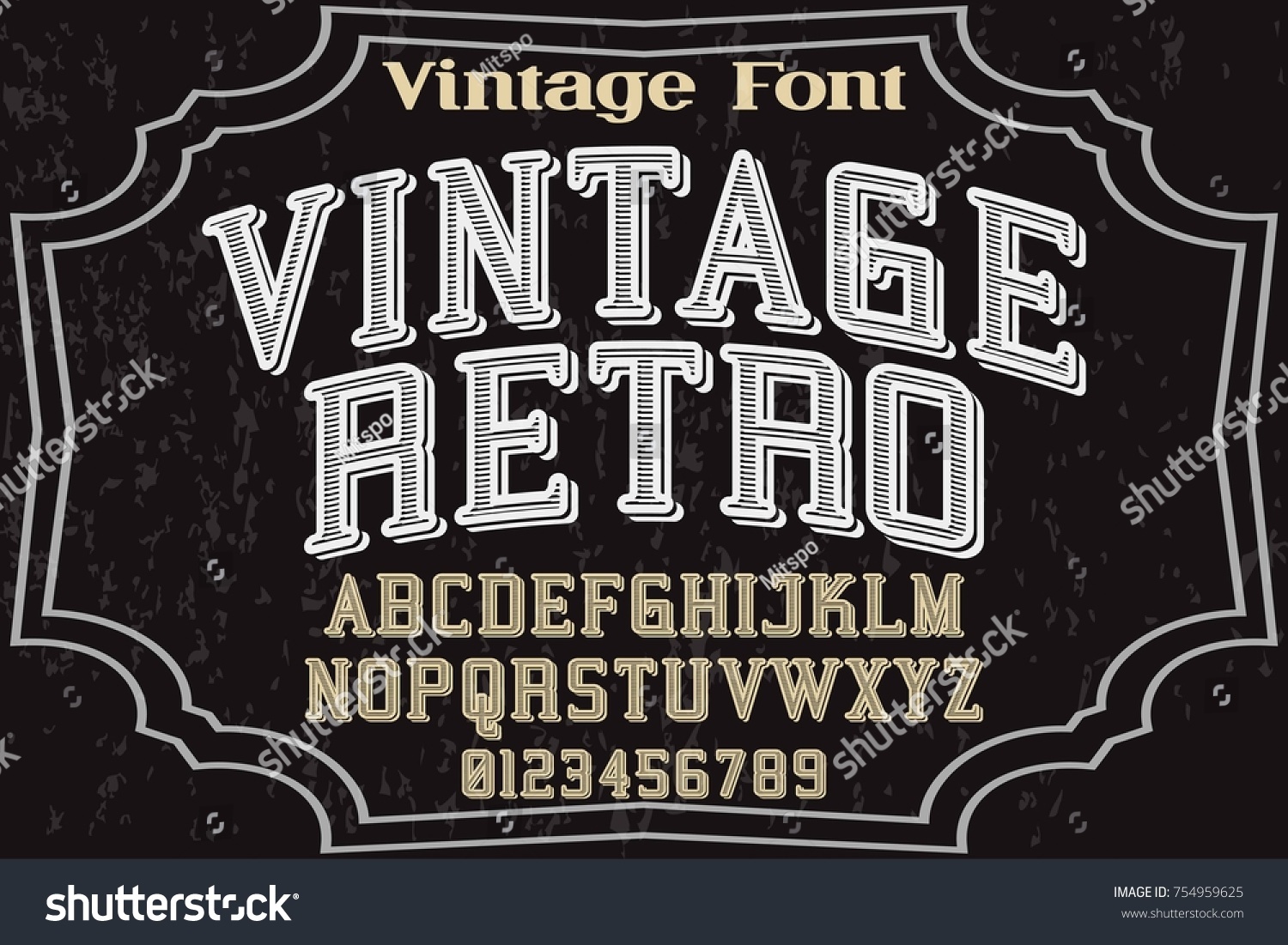 Calligraphic Font Alphabet Vector Named Vintage Stock Vector (Royalty ...