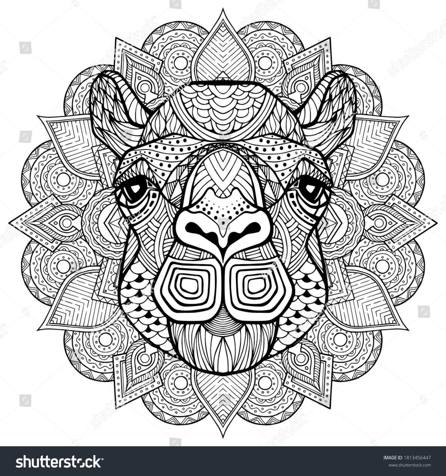 Camel Head Detailed Style Zentangle Camel Stock Vector (Royalty Free ...