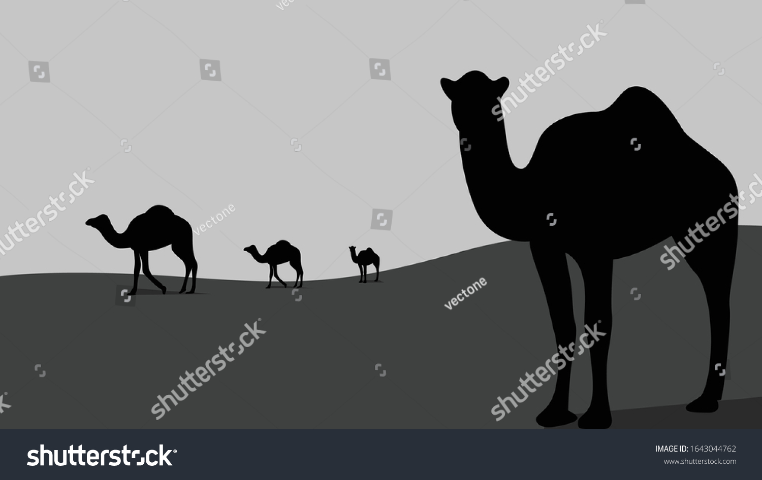 Camel Desert On Black White Background Stock Vector Royalty Free 1643044762