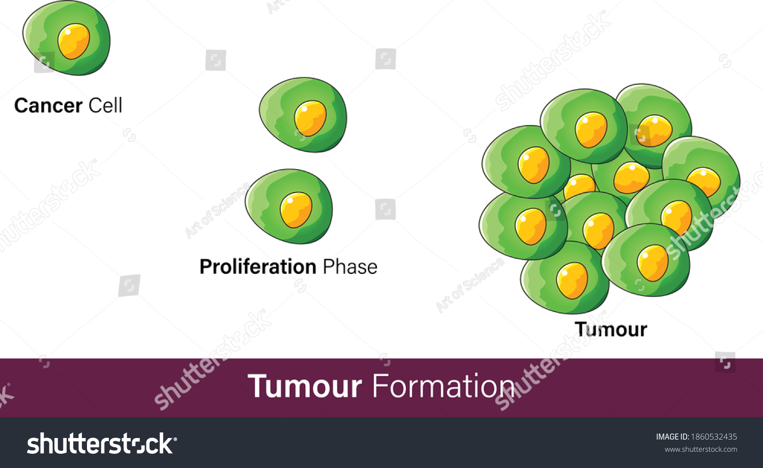 Cancer Cell Formation Due Mutagenic Even Stock Vector (royalty Free 