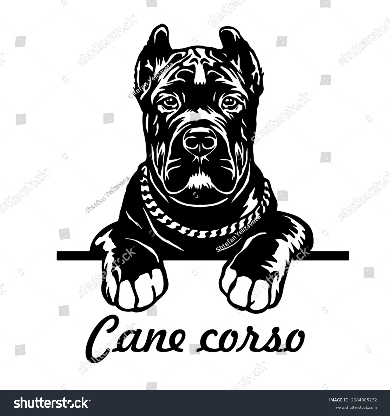 SVG of Cane Corso dog clipart. Young puppy Corso vector illustration file for cutting. Black dog animals svg