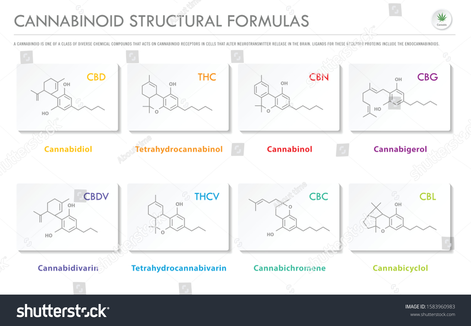 Cannabinoid Structural Formulas Horizontal Business Infographic Stock ...