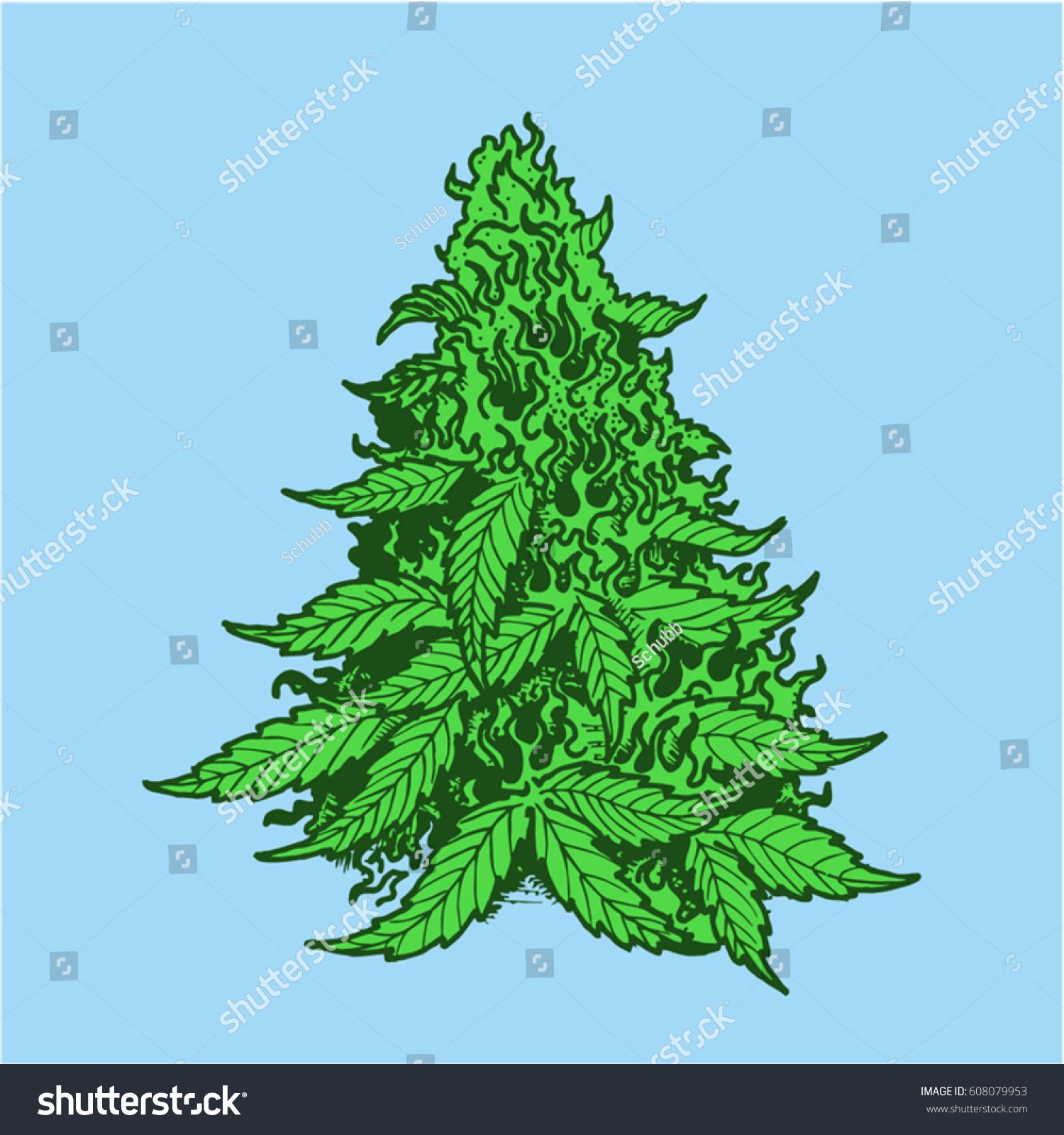 Cannabis Plant Leaves Buds Hand Drawn Stock Vector 608079953 - Shutterstock