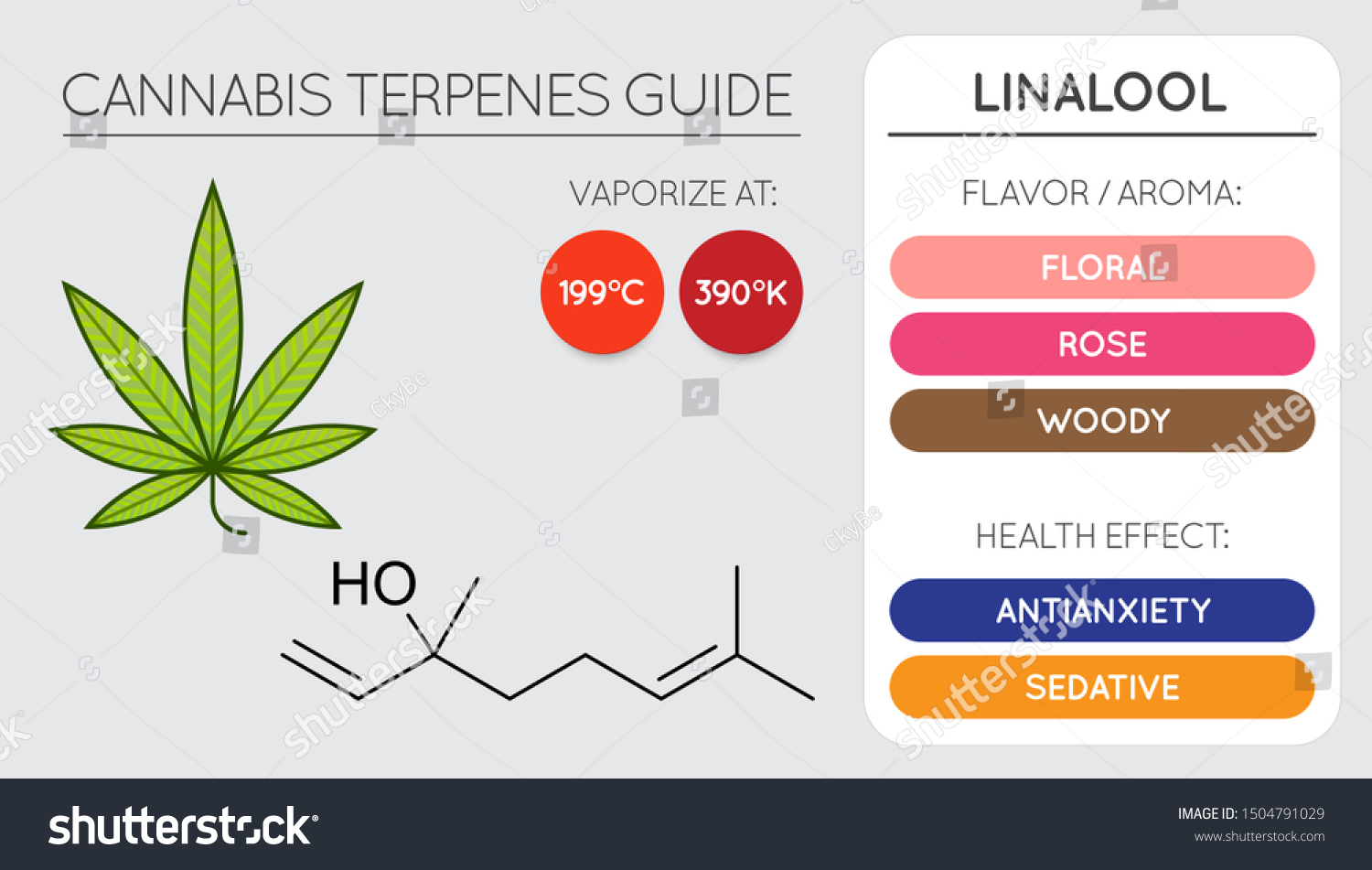 Cannabis Terpene Guide Information Chart Aroma Stock Vector (Royalty ...