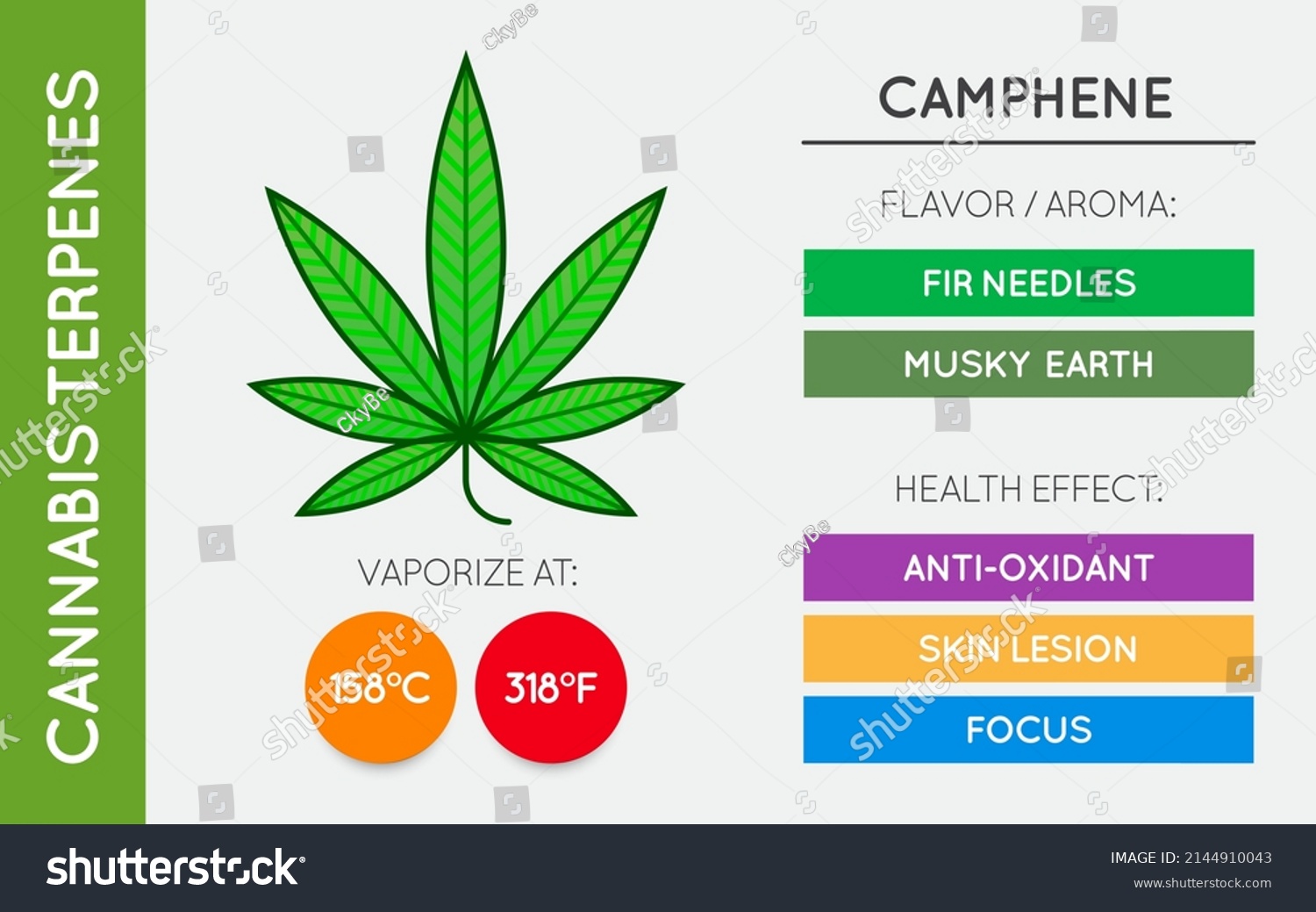 Cannabis Terpene Guide Information Chart Aroma Stock Vector (Royalty ...