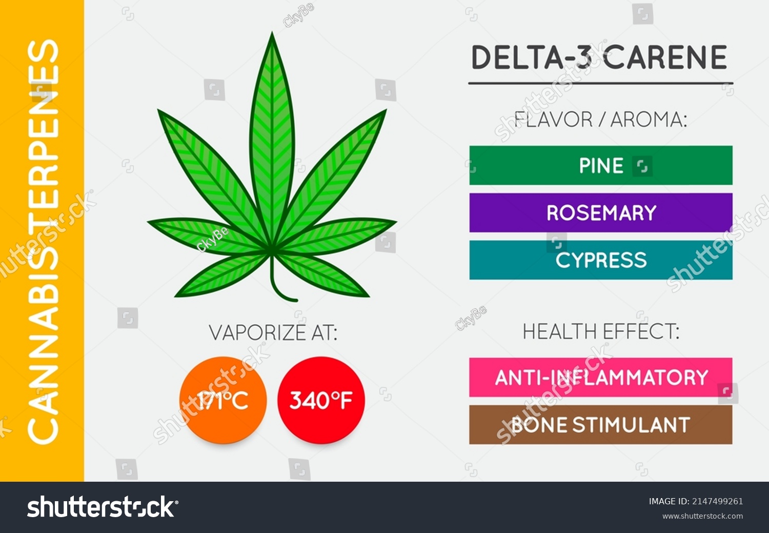 Cannabis Terpene Guide Information Chart Aroma Stock Vector (Royalty ...