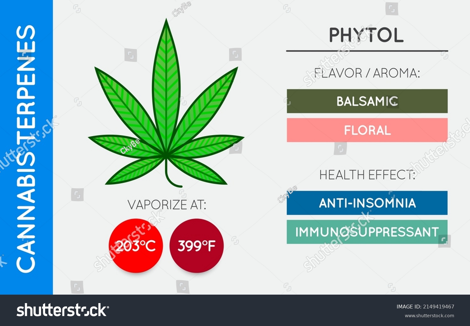 Cannabis Terpene Guide Information Chart Aroma Stock Vector (Royalty ...