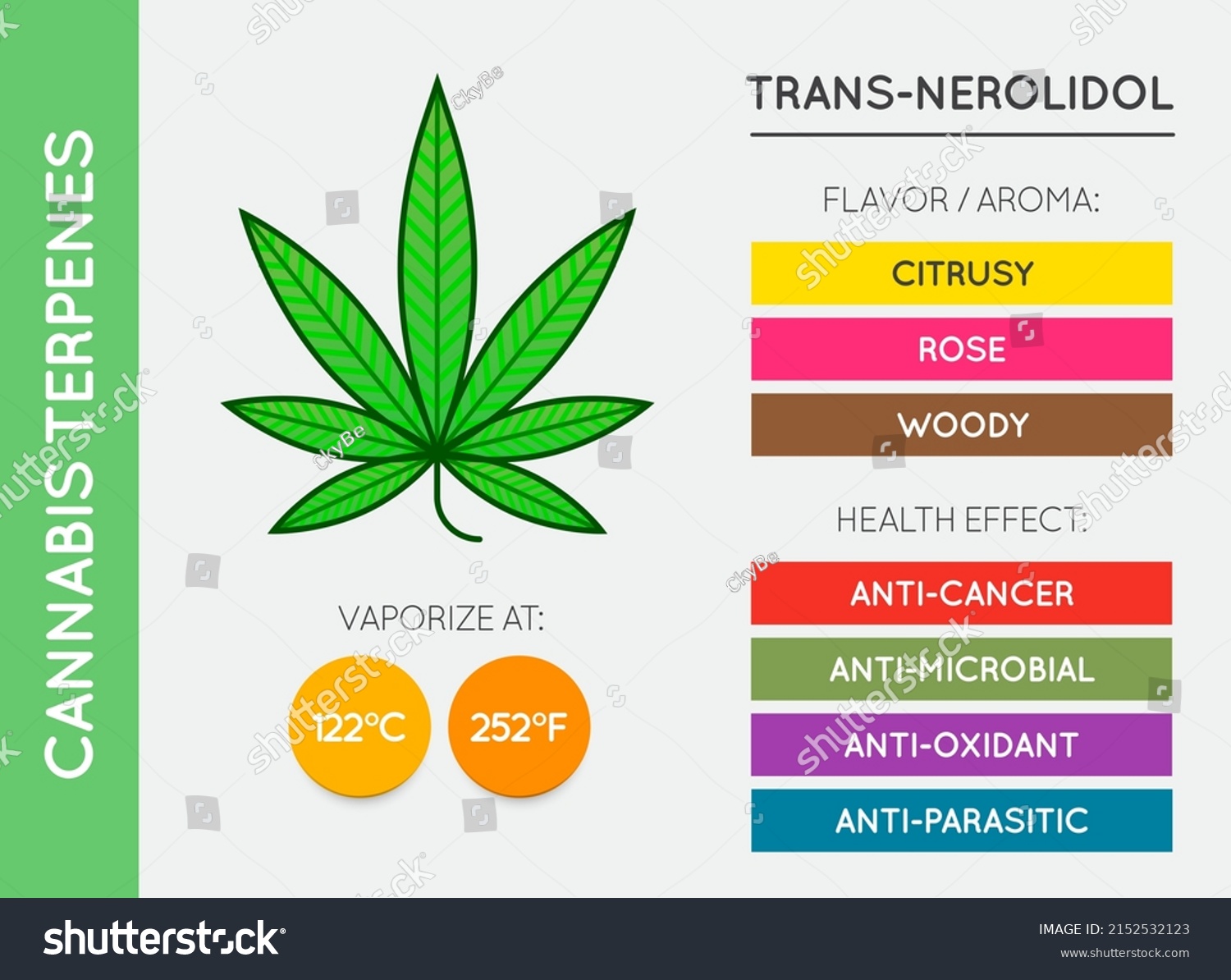 Cannabis Terpene Guide Information Chart Aroma Stock Vector (Royalty ...