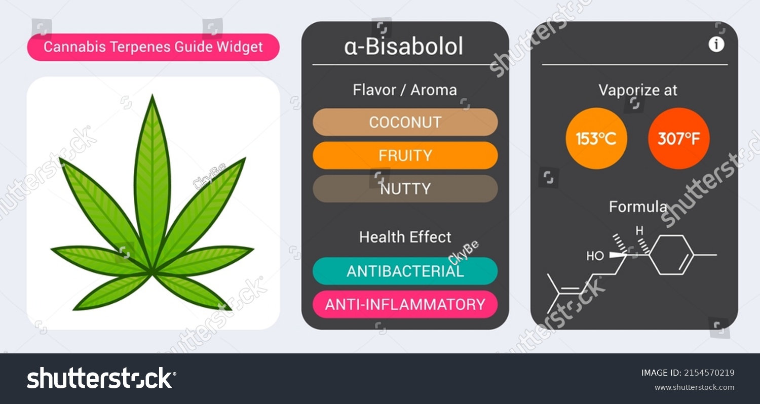 Cannabis Terpene Guide Information Chart Aroma Stock Vector (Royalty ...