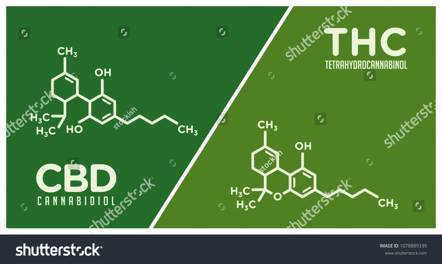 3,132 Thc Chemical Structure Images, Stock Photos & Vectors | Shutterstock