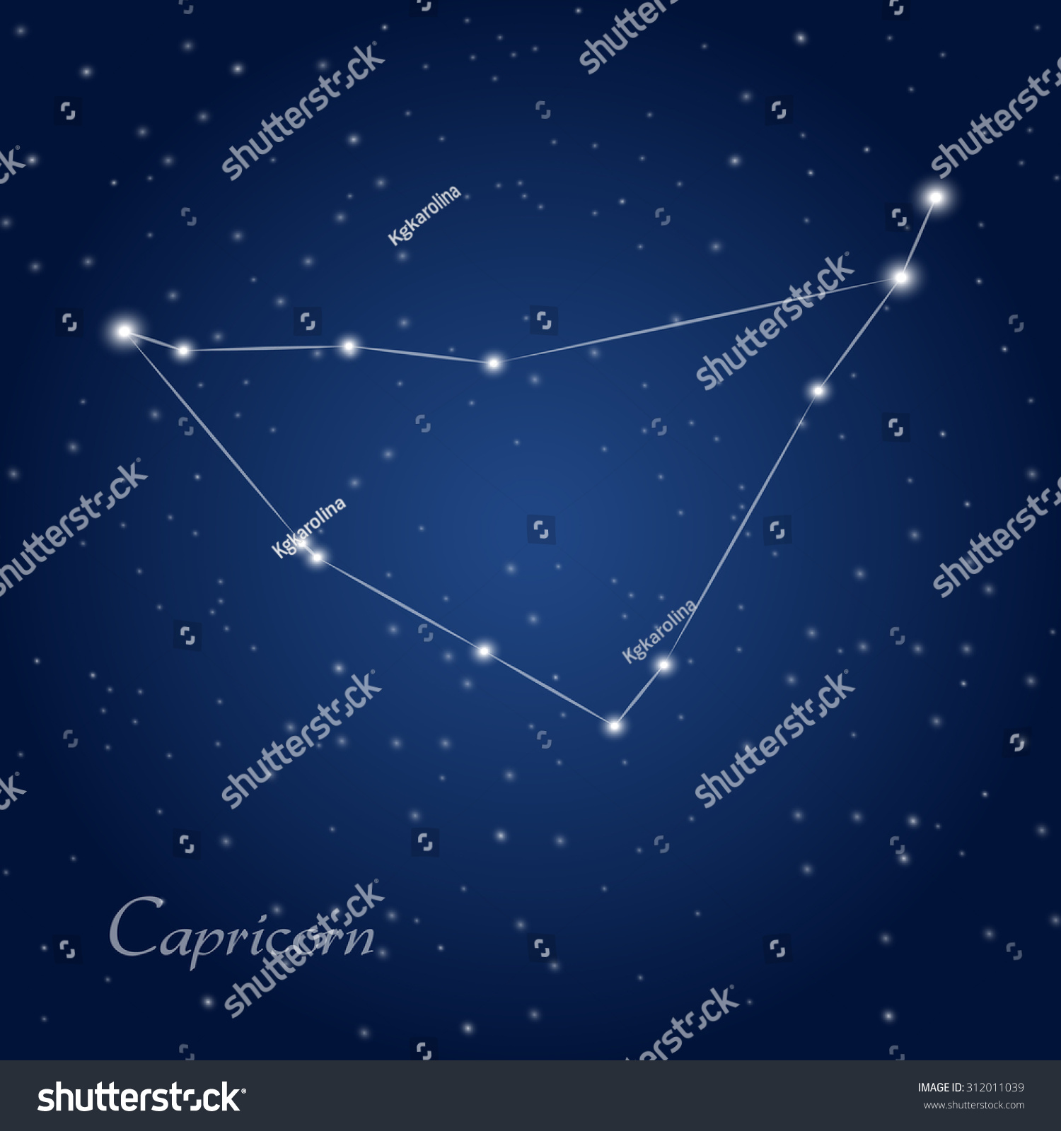 Capricorn Constellation Zodiac Sign Starry Night Stock Vector (Royalty ...