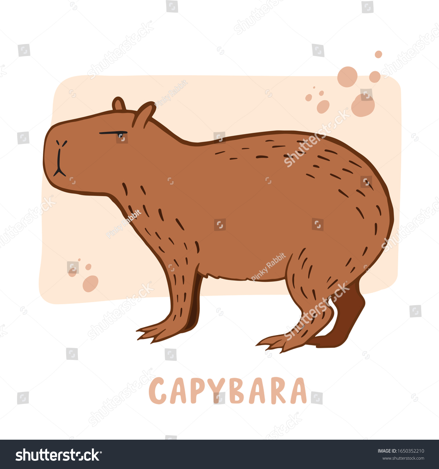 Capybara Vector Color Illustration Capybara Drawing Stock Vector Royalty Free 1650352210 I love when birthdays roll around because it gives me a chance to make a nonsensical card, usually involving an. https www shutterstock com image vector capybara vector color illustration drawing animal 1650352210