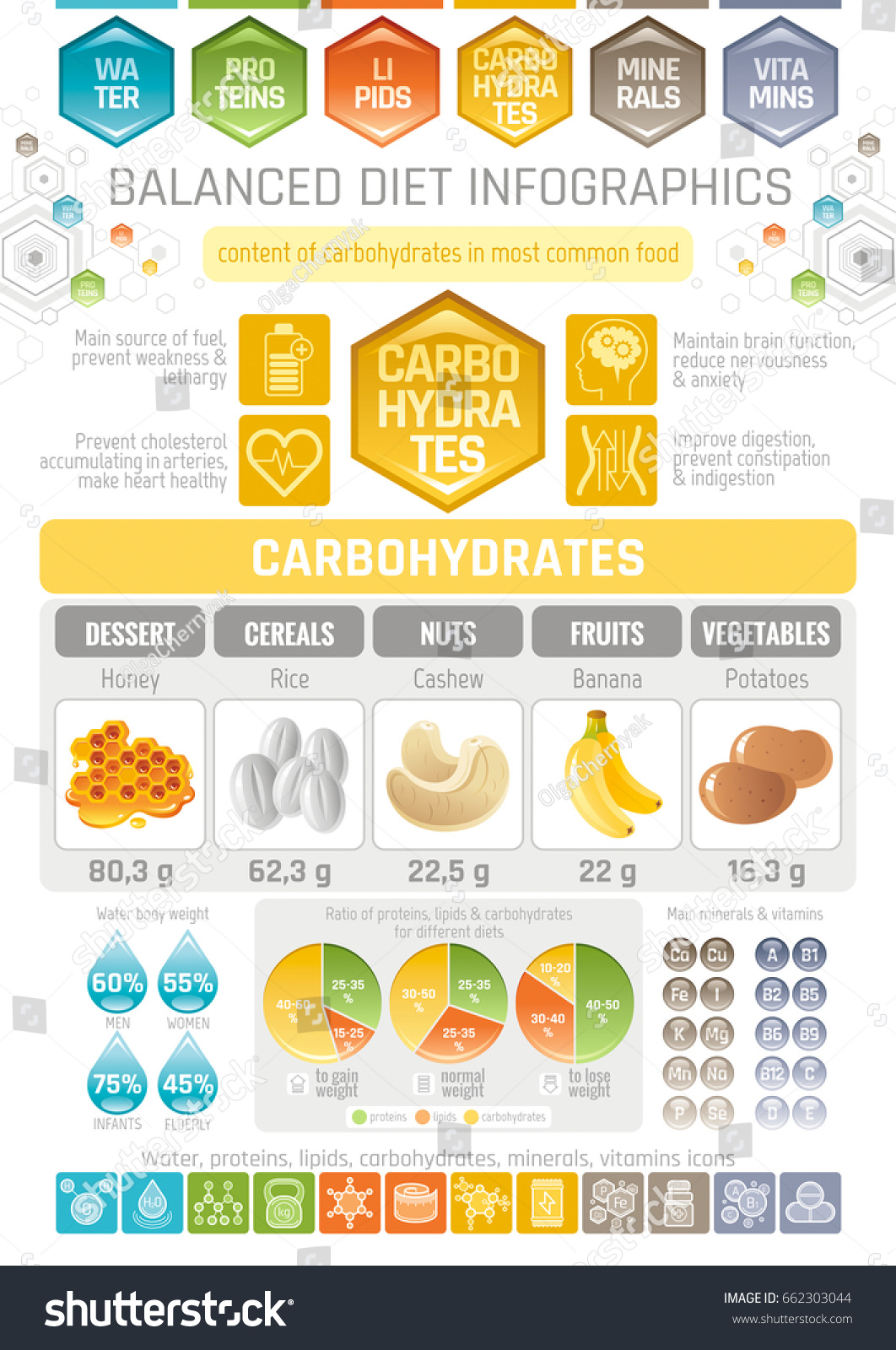 2,379 Carbohydrate infographic Images, Stock Photos & Vectors ...