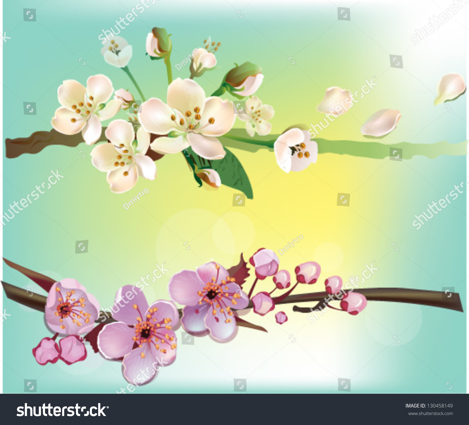 Card Stylized Cherry Blossom Apple Tree Stock Vector Royalty Free