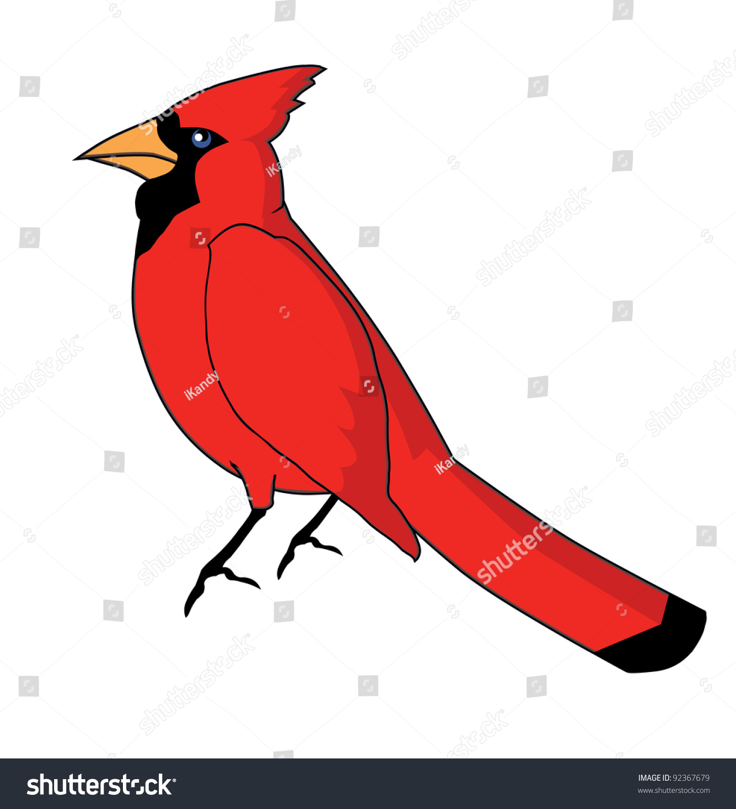 Cardinal Stock Vector Illustration 92367679 Shutterstock 4093