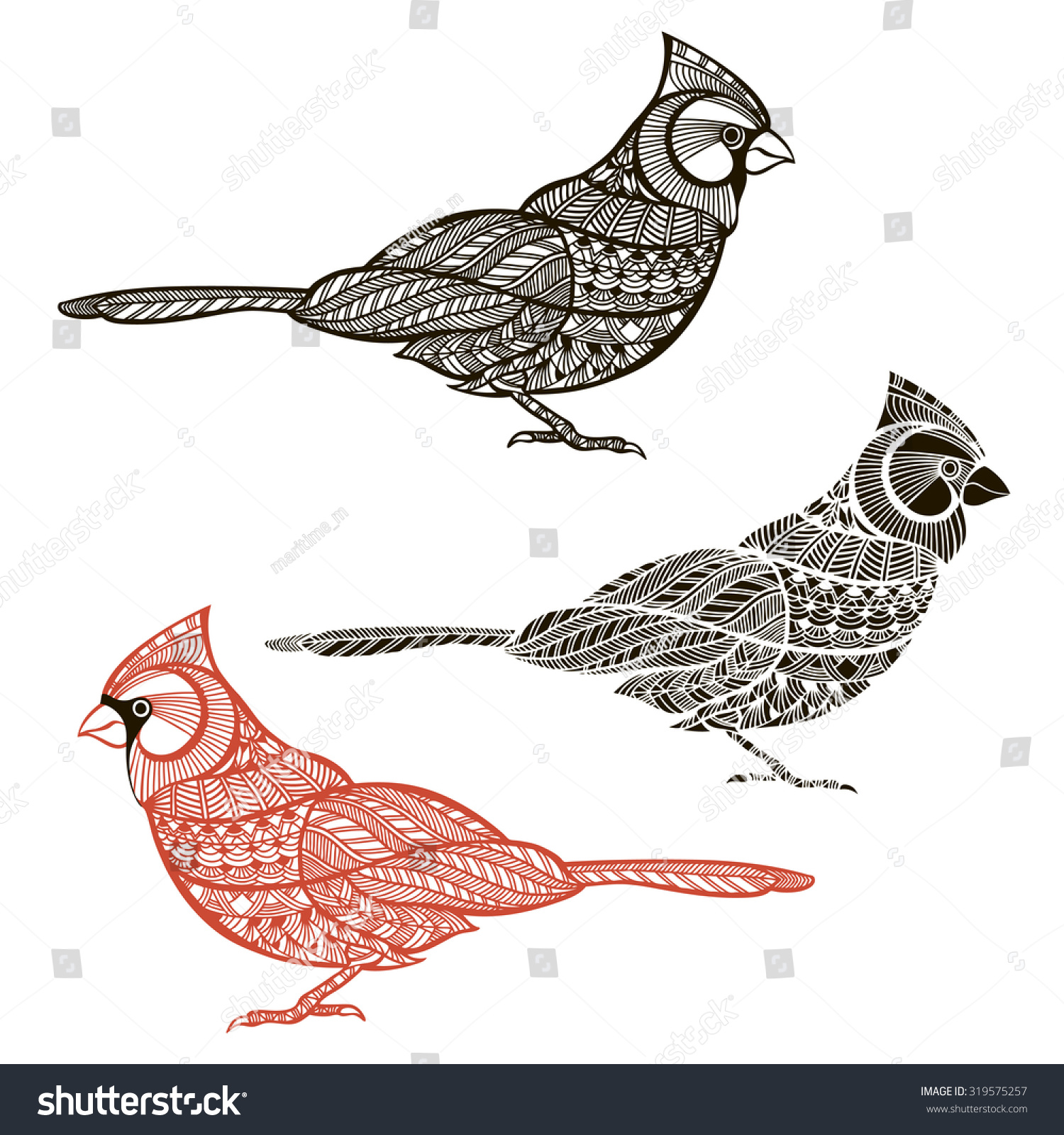 Cardinal Set Birds Isolated On White Stock Vector (Royalty Free